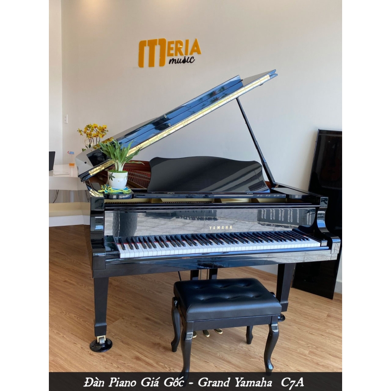 Grand Yamaha C7A