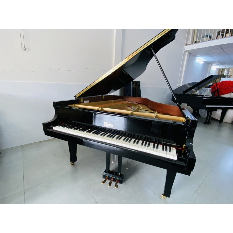 Piano Grand Boston GP178 PE II