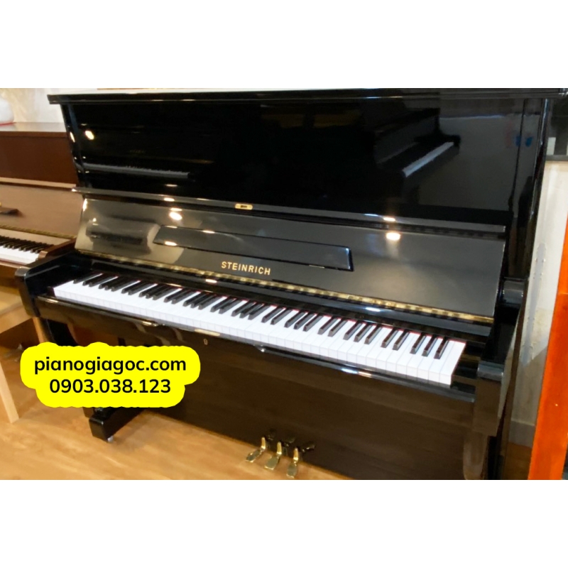 Đàn Piano Upright Steimrich S10