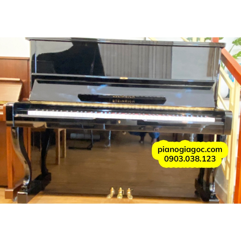 Đàn Piano Upright Steimrich S10